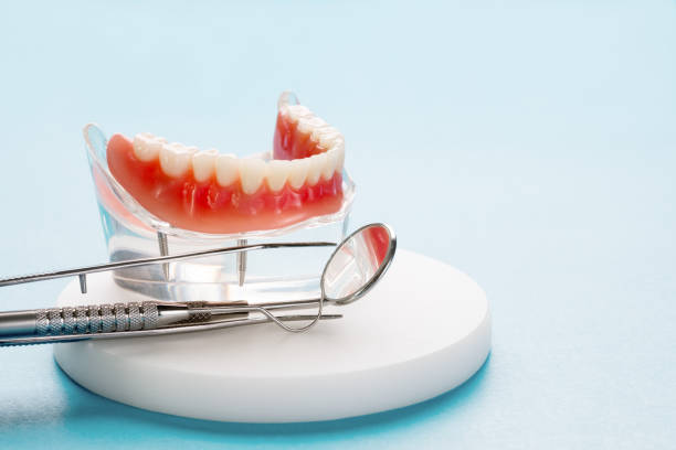 Best Dental Fillings (Composite and Amalgam)  in Meadowdale, WA